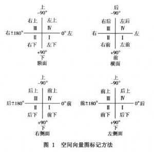 心电向量图 医学百科